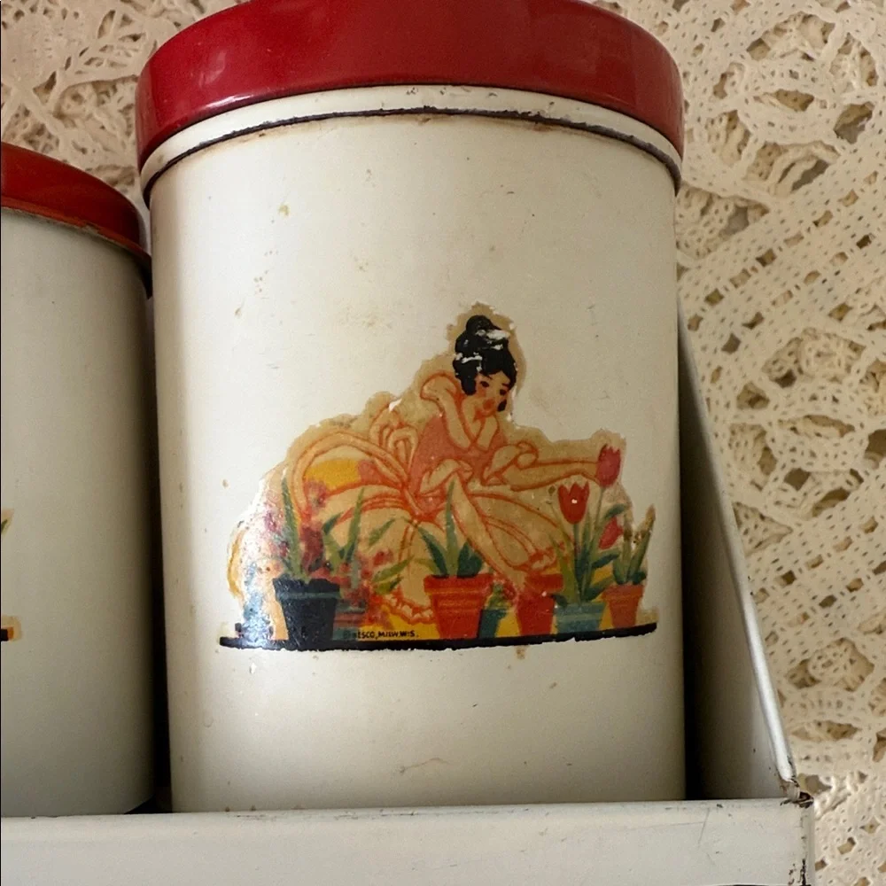 Vintage Spice Tins Rack and Cake Cover